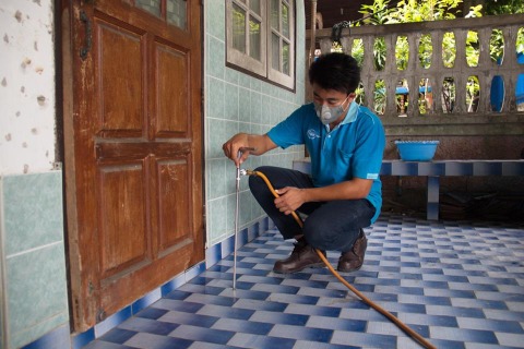 แนะนำบริษัทกำจัดปลวก