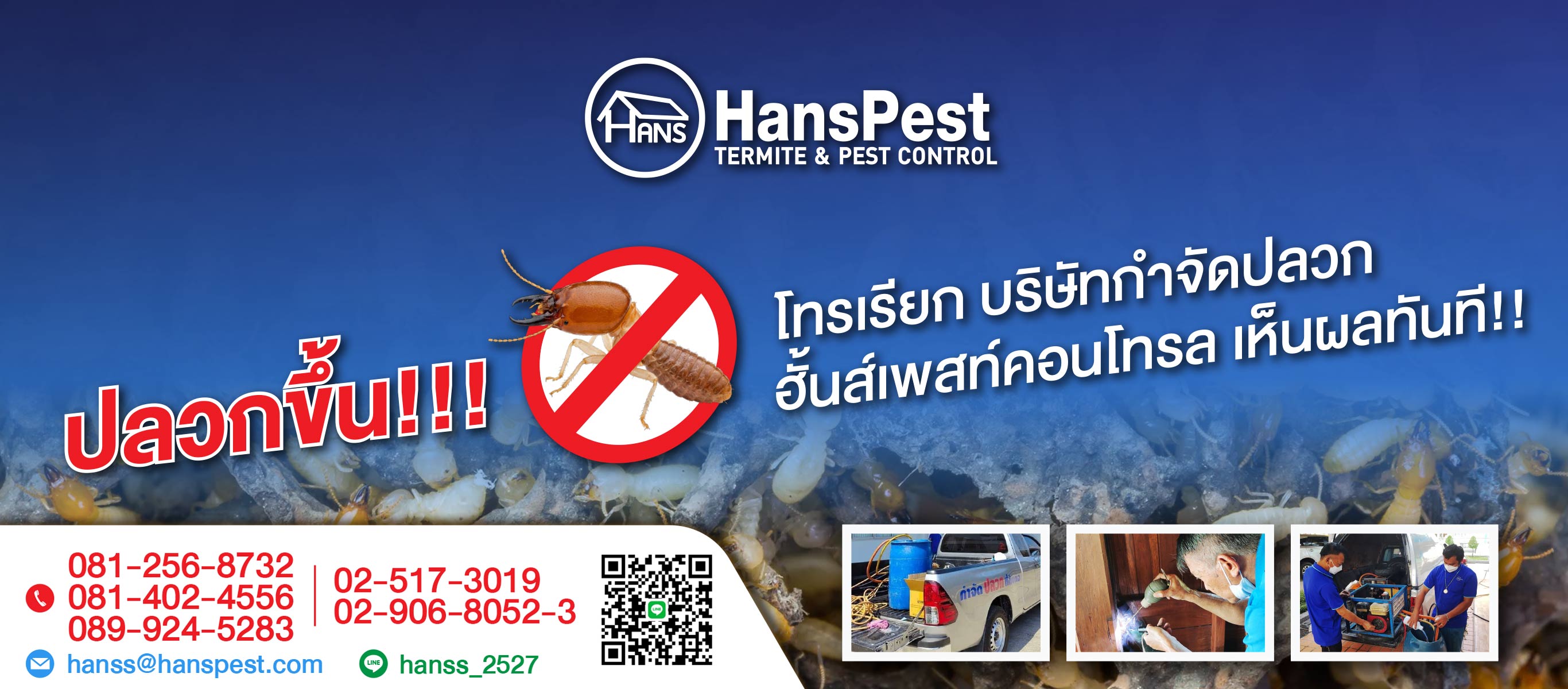 4573226V1-backgroud-01-กำจัดปลวกด่วนกรุงเทพ