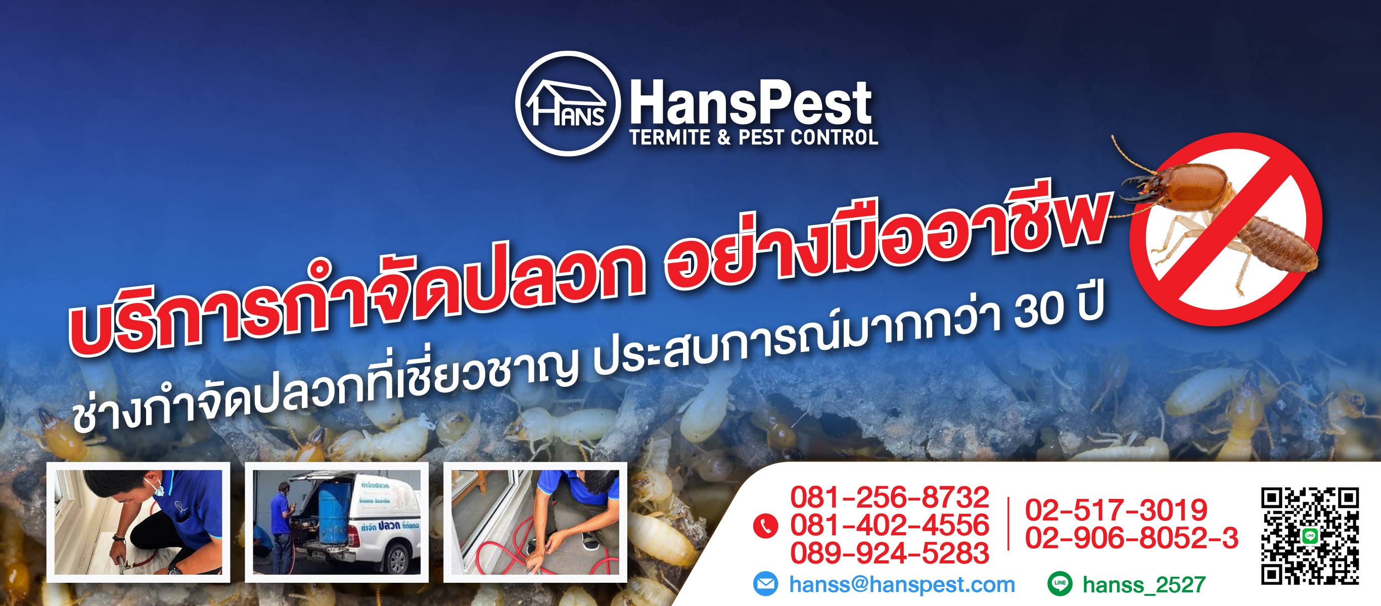 4573226V1-backgroud-02-แนะนำบริษัทกำจัดปลวกกรุงเทพ