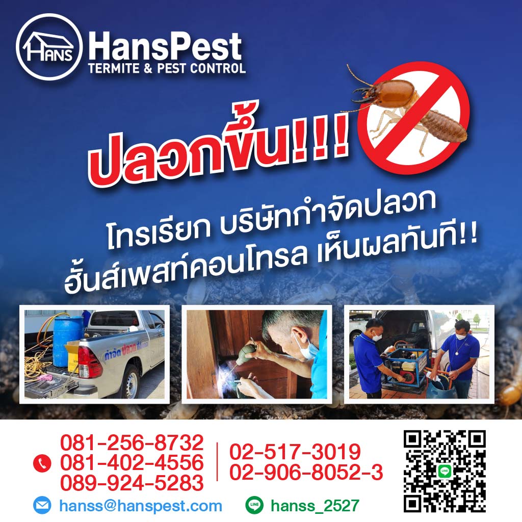 ฮั้นส์ กำจัดปลวก