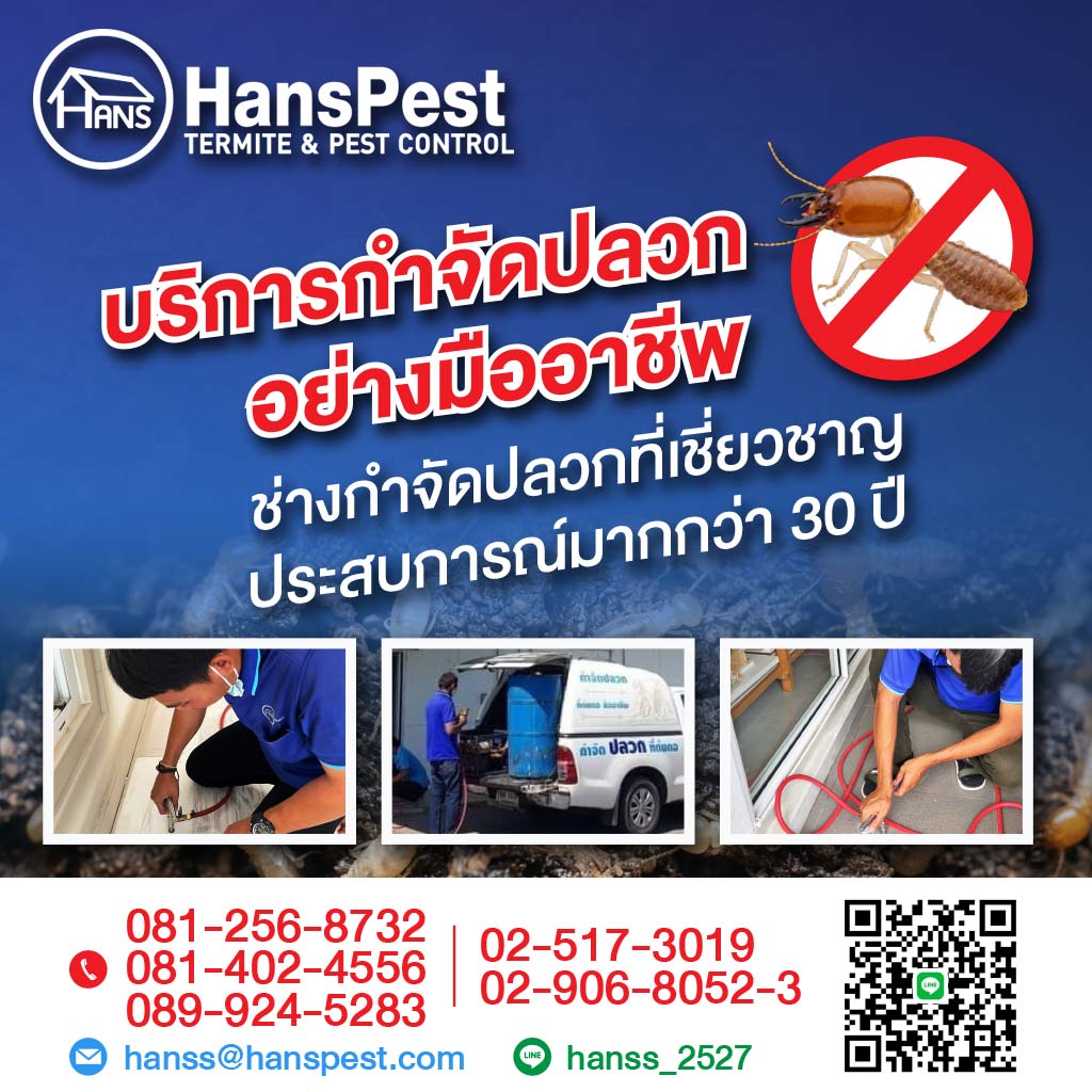 ฮั้นส์ กำจัดปลวก