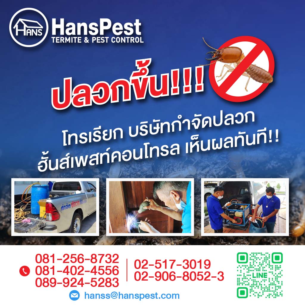 กรุงเทพ ฮั้นส์ กำจัดปลวก