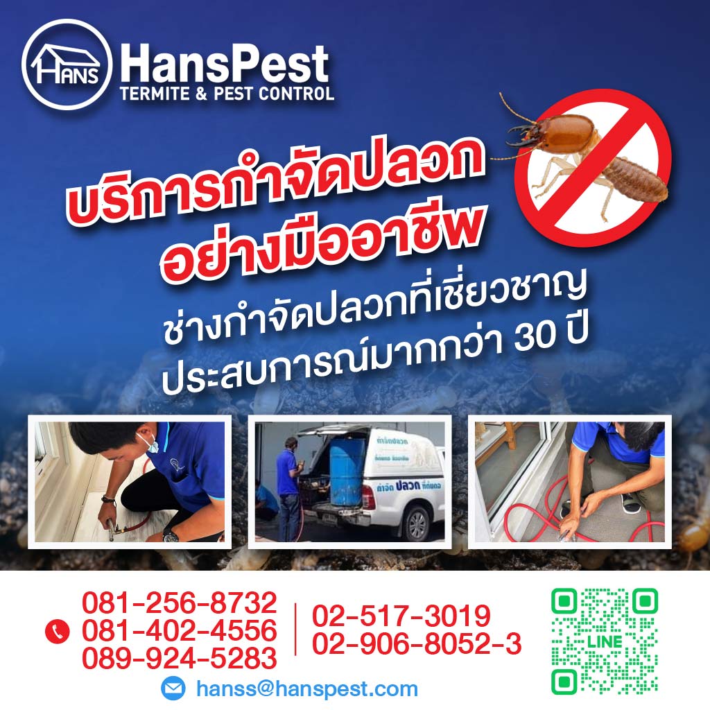 กรุงเทพ ฮั้นส์ กำจัดปลวก